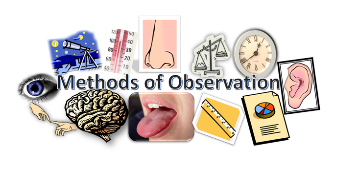 observation of critical thinking